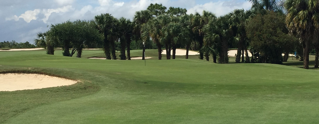 Trees and bunker on golf course