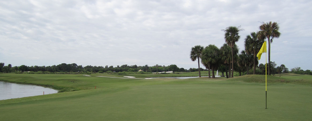 view of trees and water on golf course